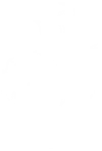 strawberry pig